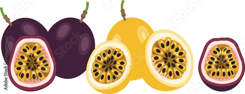 Passion fruit vector illustration set featuring whole and sliced maracuya, tropical fruit collection with detailed seeds and pulp