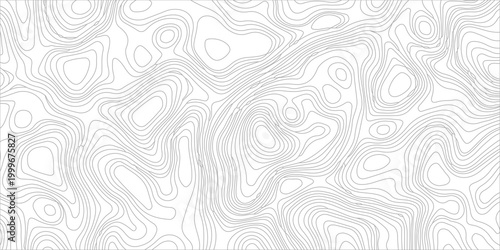 Abstract Gray Topographic Map Background, Minimalist Contour Lines Vector Texture, Modern Geographic Relief Pattern. abstract geographic relief pattern represents terrain elevation. 