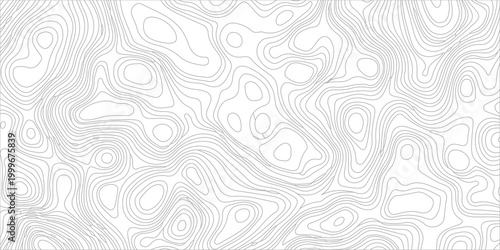 Abstract Gray Topographic Map Background, Minimalist Contour Lines Vector Texture, Modern Geographic Relief Pattern. abstract geographic relief pattern represents terrain elevation. 