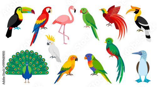 Vibrant collection of exotic birds: toucan macaw flamingo parrot peacock