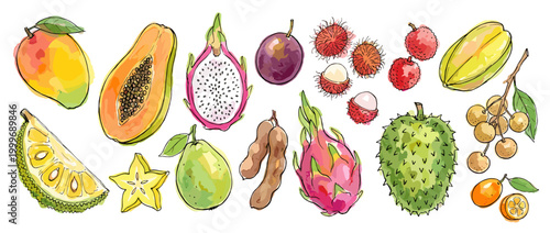 Vibrant watercolor illustrations of various exotic fruits a healthy food collection