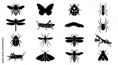 Collection of various insect silhouettes: butterfly bee ladybug spider and more