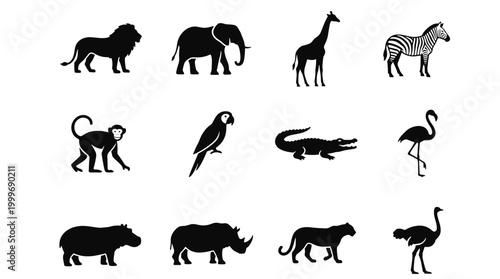 Collection of Minimalist Black Silhouettes Representing Twelve Wild Safari Animals