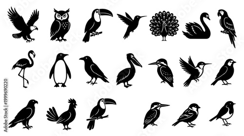 Diverse bird silhouette collection: a graphic illustration of various avian species
