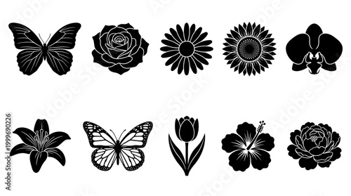 Collection of silhouette botanic flora and fauna icons