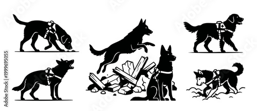 Search and Rescue Dog Silhouettes Set, K9 First Aid Uniform, Professional Working Dogs Training for Disaster Relief, Emergency Response Service Animals Collection, Vector Graphic Illustration Isolated