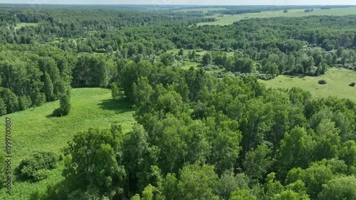 View from above of a wooded area in summer. 