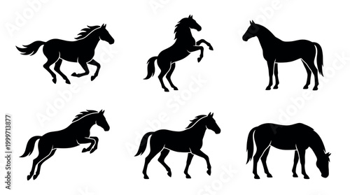 Dynamic horse movements display outdoor arena graphic illustration equestrian environment side view animal behavior