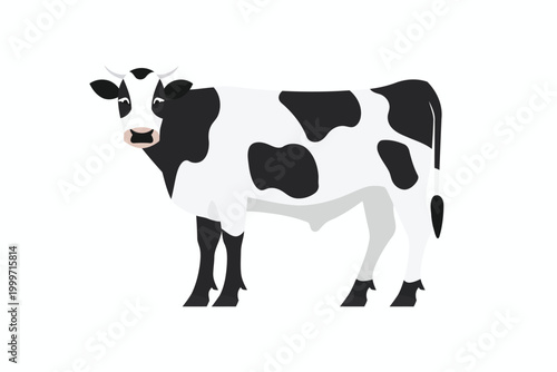 Black and Cow isolated
