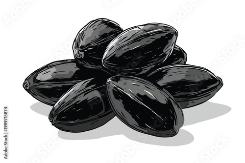 Black Semi palm fruits healthy food isolated