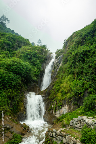 Scenic waterfall flowing through green forest in mountain environment