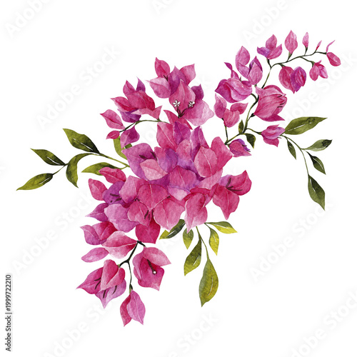Watercolor hand draw floral bouquet with Italy flowers, yellow, red and pink floral, isolated on white background