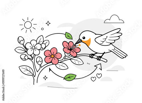 Symbiotic relationships between animals and plants. Bird perched on flowering branch while pollinating, gentle