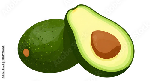 avocado illustration, fresh green avocado, organic healthy fruit, tropical food ingredient, ripe avocado fruit, natural farm produce, vegan kitchen ingredient, nutritious green fruit, fresh market avo
