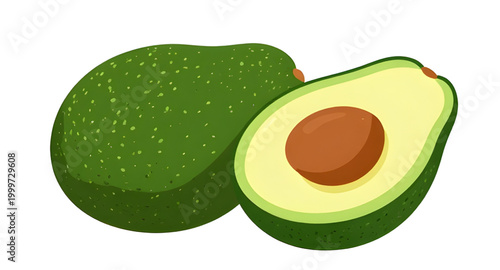 avocado illustration, fresh green avocado, organic healthy fruit, tropical food ingredient, ripe avocado fruit, natural farm produce, vegan kitchen ingredient, nutritious green fruit, fresh market avo