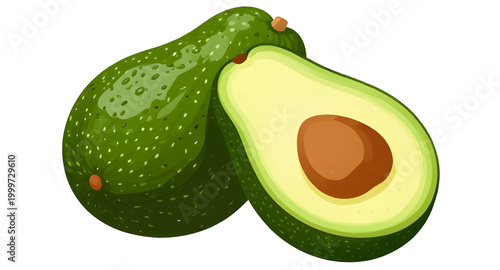 avocado illustration, fresh green avocado, organic healthy fruit, tropical food ingredient, ripe avocado fruit, natural farm produce, vegan kitchen ingredient, nutritious green fruit, fresh market avo