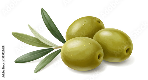 olive, green, branch, leaves, fruit, fresh, organic, food, natural, healthy, mediterranean, farm, plant, ingredient, isolated, white, healthy