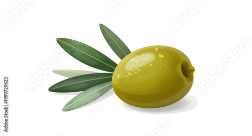 green olives branch, olive fruit with leaves, fresh organic olives, mediterranean food ingredient, healthy olive branch, natural green fruit, farm fresh olives, olive tree branch, white background oli