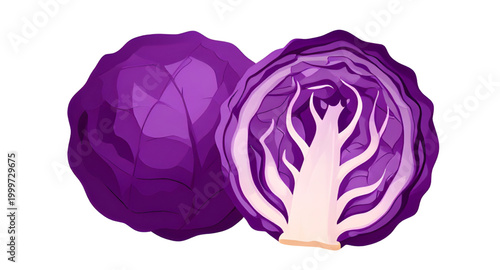 cabbage illustration, purple cabbage vegetable, fresh leafy cabbage, organic farm produce, healthy green vegetable, brassica vegetable design, natural food ingredient, vegan kitchen produce, nutritiou