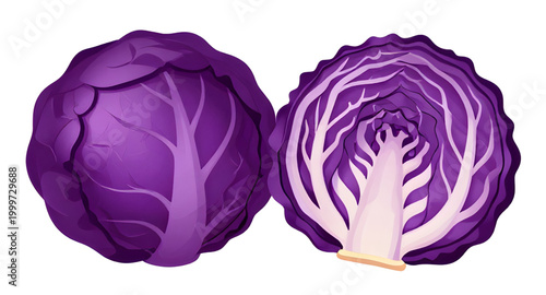 purple cabbage vegetable, fresh leafy cabbage, organic farm produce, healthy green vegetable, brassica vegetable design, natural food ingredient, vegan kitchen produce, nutritious leafy crop, fresh ma