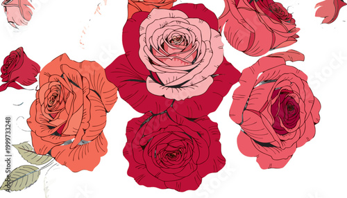 A delicate illustration showcases a symphony of roses in full bloom, their vibrant petals elegantly arranged against a backdrop.