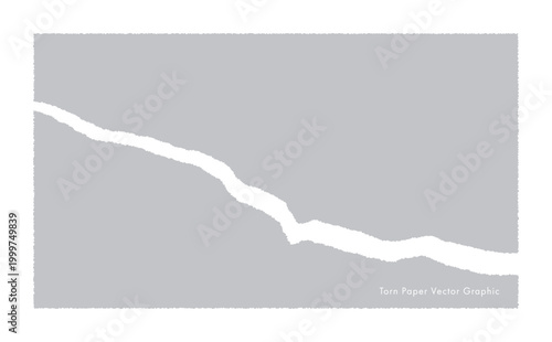 破れた紙のベクター・グラフィック素材（Grey）