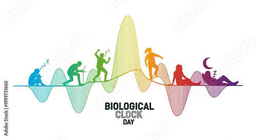 A vector illustration shows the concept of Biological Clock Day, depicting human figures in various stages of a daily cycle atop a wave diagram, set against a clean white background