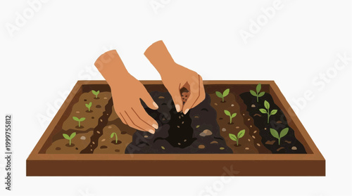 Nurturing nature, a pair of hands delicately planting seeds in a soil-rich raised bed. The image depicts the beginning of growth and the promise of a bountiful harvest.