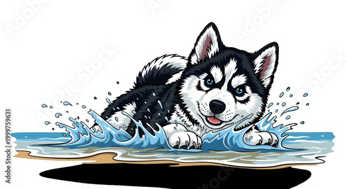 Cartoon husky puppy playing in water illustration Isolated on transparent background.