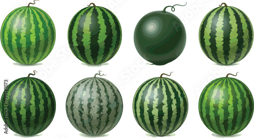 Watermelon Vector Set Featuring Different Varieties, Colors, and Designs for Fruit, Summer, and Healthy Food Illustrations