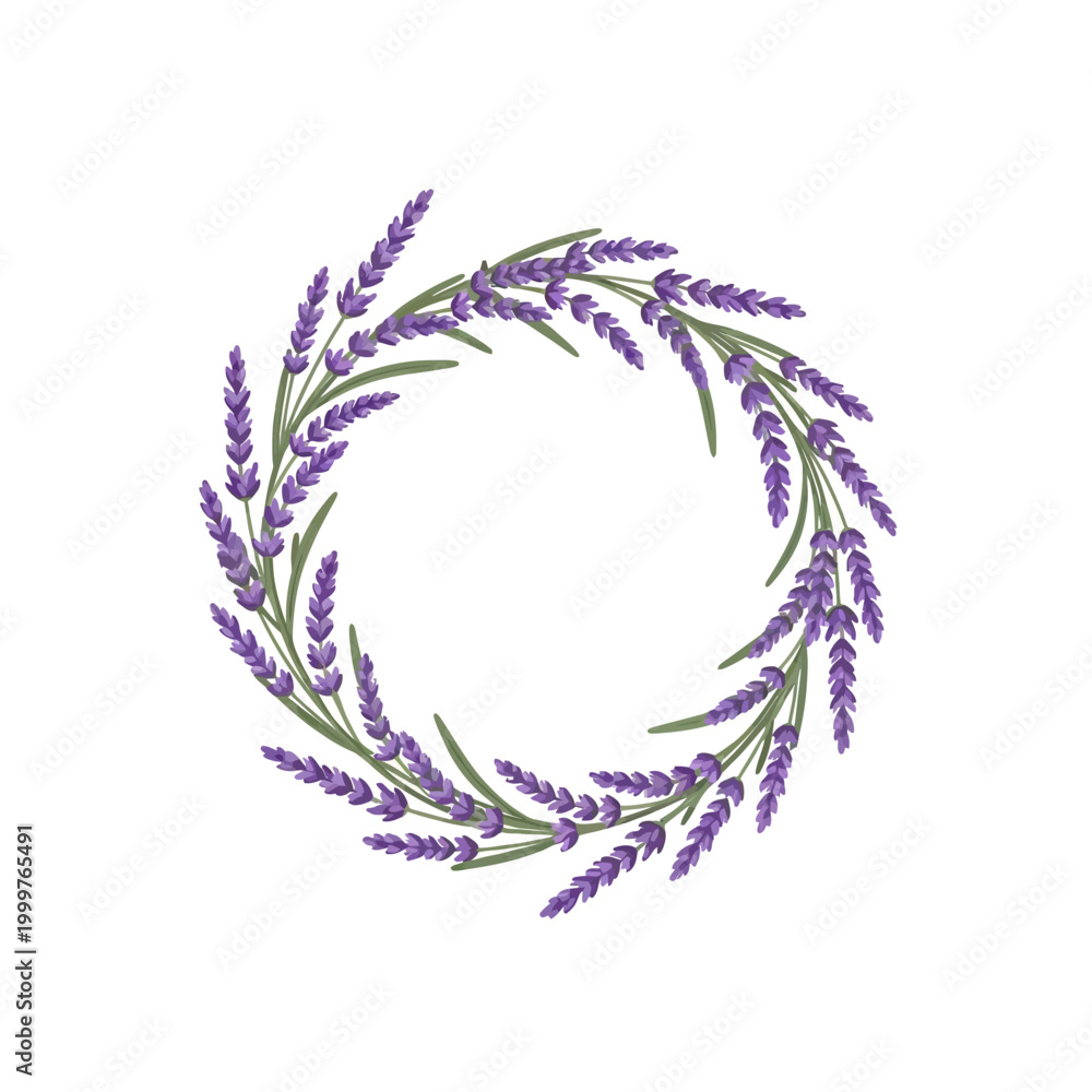 Obraz premium Lavender wreath floral design element isolated on white.