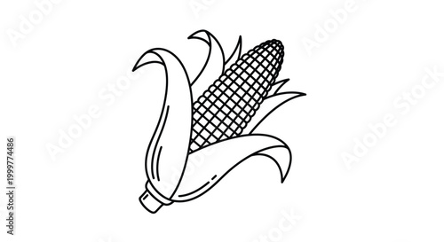 Simple line art vector illustration of a single ear of corn with husks peeled back revealing kernels