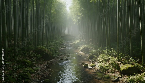 Tranquil Bamboo Forest Path with Gentle Stream and Soft Sunlight Filtering Through the Canopy