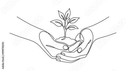 Hands cradling a small green plant.