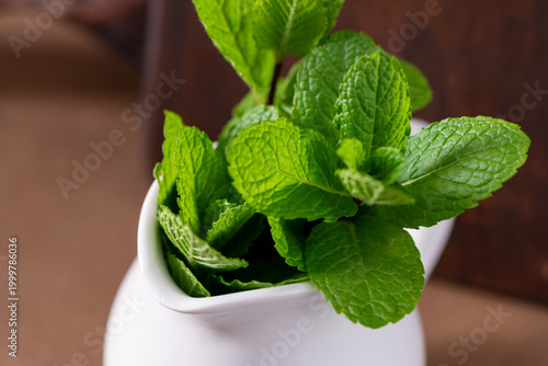 Close Up of Fresh Green Mint Leaves in a White Ceramic Jar