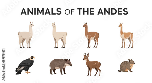 Animals of the Andes Mountains Ecosystem.