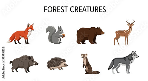 Forest creatures animals wildlife ecosystem.