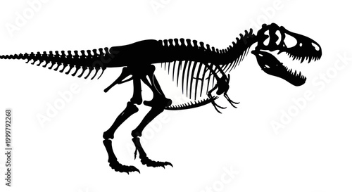 Dinosaur skeleton fossil Tyrannosaurus Rex.