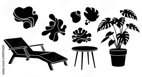 Monstera plant in a pot.