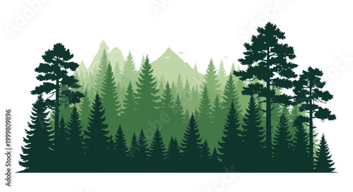 Misty Forest Landscape with Evergreen Trees and Mountains