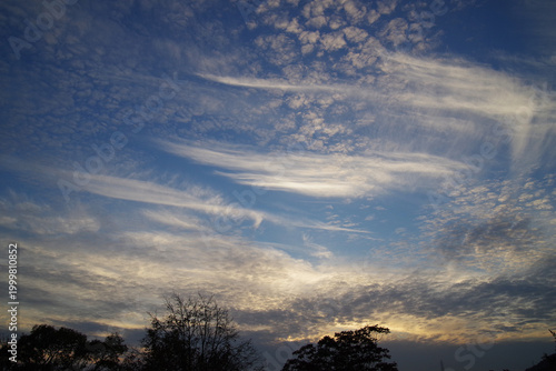 Fotografía 爽やかな青空に広がる刷毛で描いたような筋雲と鱗雲