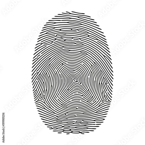 Abstract fingerprint pattern, unique identification, security concept, biometric data