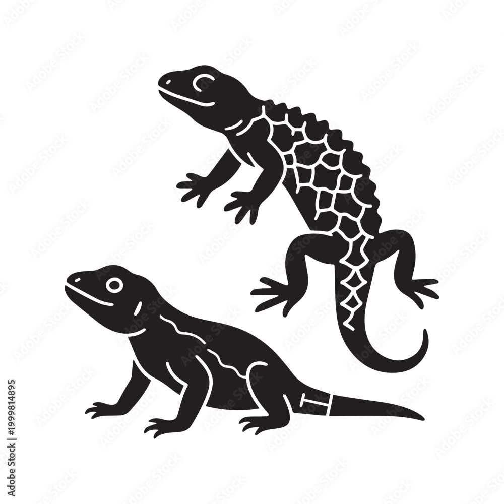 Fototapeta premium Detailed Scaly Lizard Silhouette and Line Art Illustration For Reptile Graphic Design.