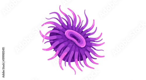 Vibrant Purple Sea Anemone Isolated on White Background, Underwater Life