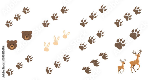 Animal Tracks and Silhouettes: Bear, Deer, Rabbit, Bird Footprints on White Background