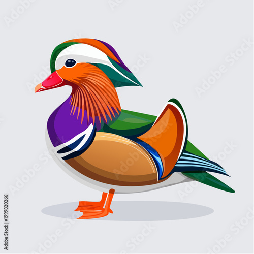 Vibrant Mandarin Duck Side Profile.