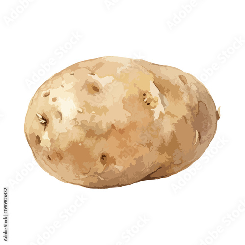 じゃがいもを描いた水彩風イラスト。料理に幅広く使われる定番野菜で、食事や調理イメージに活用しやすい素材です。