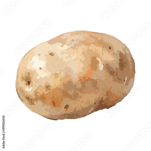 じゃがいもを単体で描いた水彩風イラスト。料理や食材のイメージ素材として、幅広い用途に使いやすいデザインです。