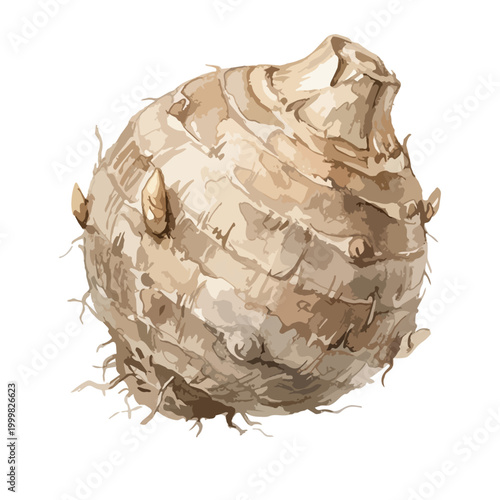 里芋を描いた水彩風イラスト。やわらかな色合いと質感で、和食や季節料理のイメージに使いやすい素材です。