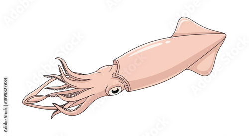 Illustration of a Pink Squid with Tentacles and Eye, Isolated on White Background